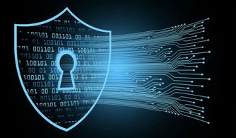 孟晚舟事件后华为运营正常，软件与信息服务业务稳健发展